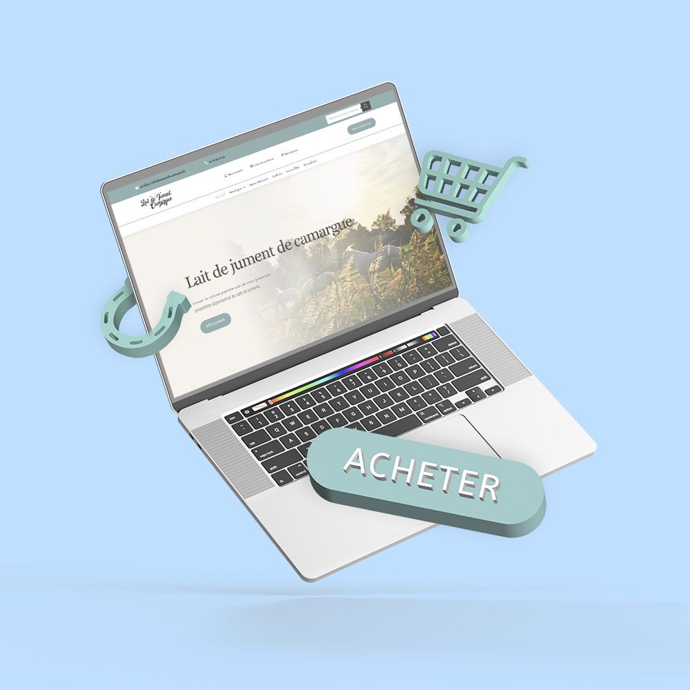 Declicexpro agence de communication - réalisation Webdesign - Lait de Jument de Camargue - Raphèle les Arles