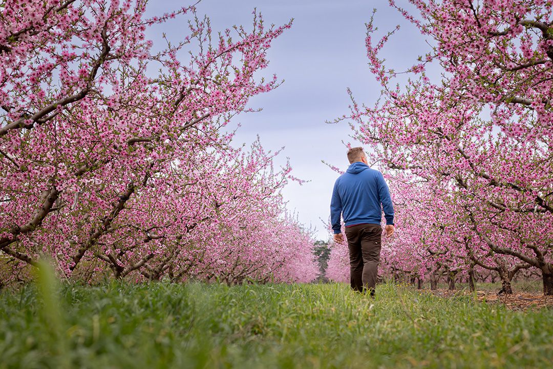La communication dans l’agriculture, enjeu de taille.